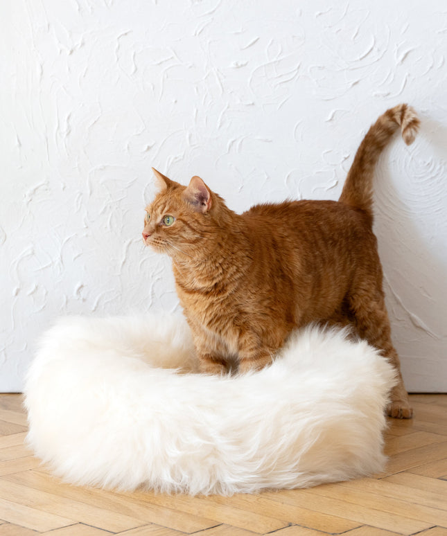 Round Natural Sheepskin Pet Bed - White-4