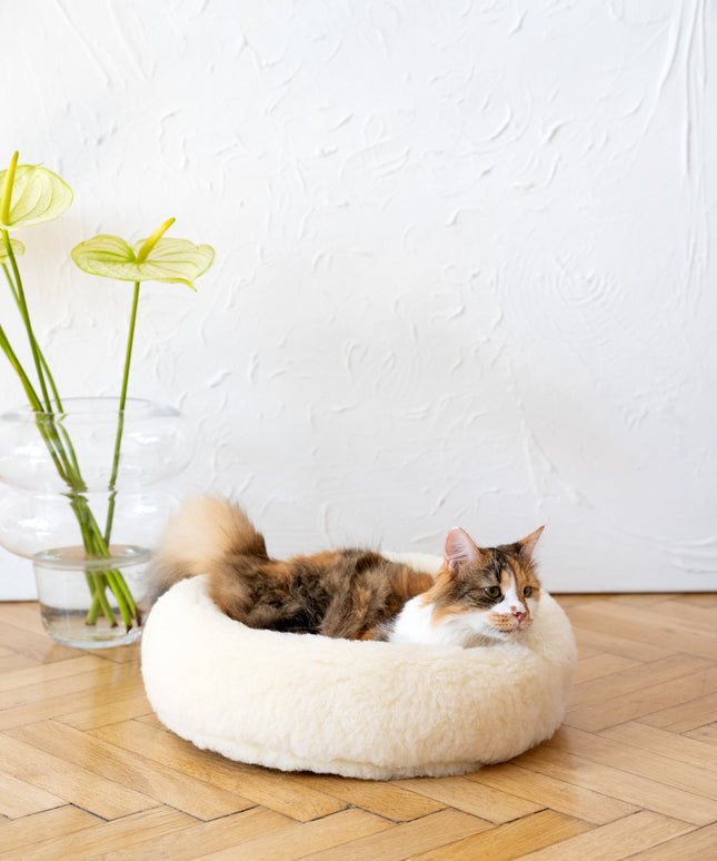 Round Natural Wool Pet Bed - White-1