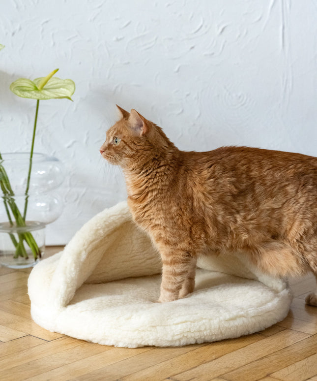 Natural Wool Pet Cave - White-2