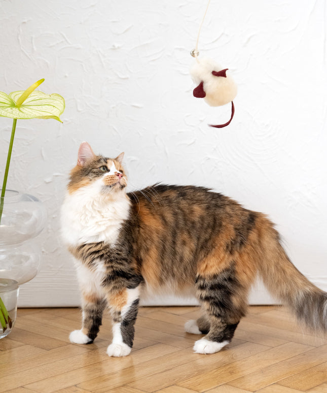 Natural Sheepskin Cat Toy: Mouse-3