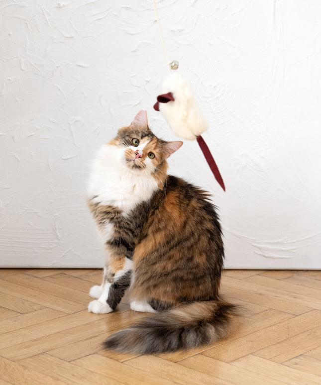 Natural Sheepskin Cat Toy: Mouse-2