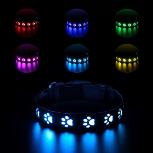 Collier lumineux LED avec 7 couleurs et empreinte de patte de chien créative