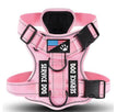 Reines Rosa / S