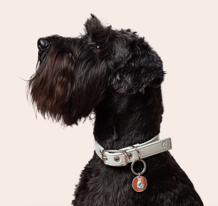 Sterling silver birthstone collar charm-1