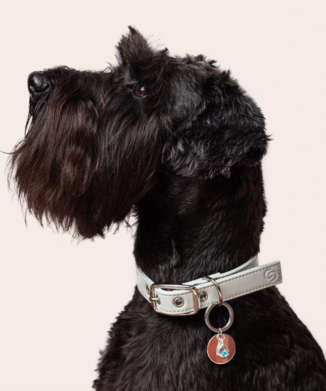 Sterling silver birthstone collar charm-1