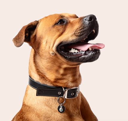 Sterling silver birthstone collar charm-2