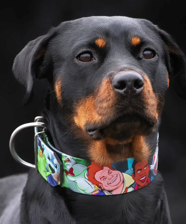 The “Ghosts” collar -LIMITED-4