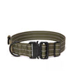 Light military color