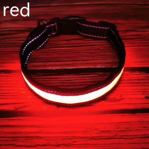 LED Collier Lumineux pour Chien Bande Réfléchissante en Cuir avec Ruban Réfléchissant