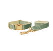 Corral para perros con cuerda para perros3 / XS
