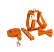 Orange / XS