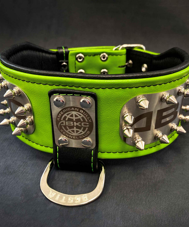 The ABKC Collar-4
