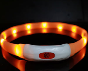 Dog Collier Lumineux en Silicone LED