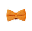 Bow3 / XS
