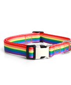 Regenbogenrutsche