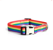 Regenbogenrutsche / S