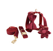 Wine Red / XS