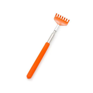 Jouet à griffer interactif pour chat Brosse de massage Produits pour animaux Griffoir pour chat