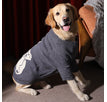Heart Bear Gray / 4XL