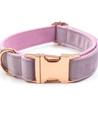 Lila Halsband mit Schnalle