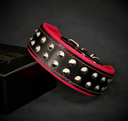 "Boston" collar-1