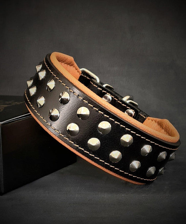 "Boston" collar