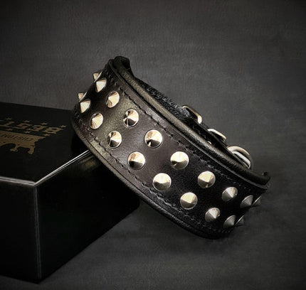 "Boston" collar
