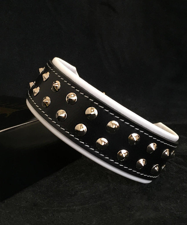 "Boston" collar