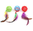 Random Color Feather Model