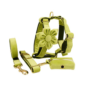 Collier pour chien en tissu velours