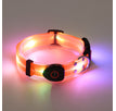 Hundehalsband Orange / USB