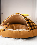 Brown Plaid
