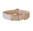 Enclos pour chien / S