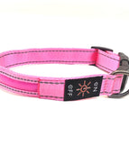 Colorful Pink