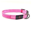 Colorful Pink / XS
