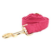 Laisse pour chien1 / XS