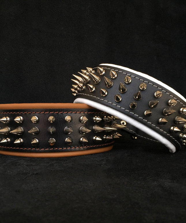 "Danger" collar-1