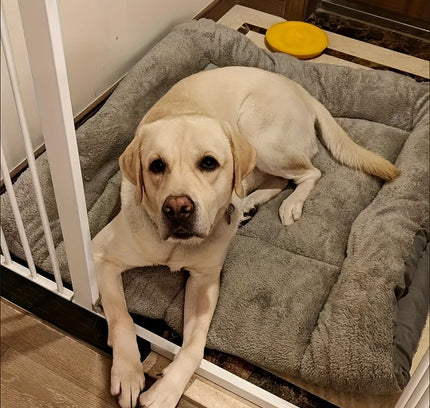 Extra-Large Plush Dog Sofa Bed with Non-Slip Base