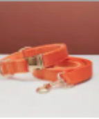 Orangefarbenes Set