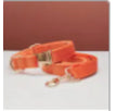 Orangefarbenes Set / Größe