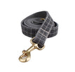 Laisse pour chien3 / XS