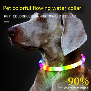 Fashion Collier pour Chien à LED