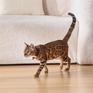 Pet Cat Toy Collier Laser