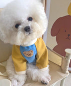 Blue Yellow Bear
