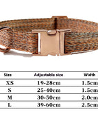 Orangefarbenes Halsband