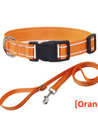 Seilhalsband Orange