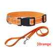 Seilhalsband Orange / XS 1,5 m