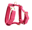 Dog gilet1 / XS