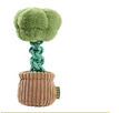Brocoli Green Coffee