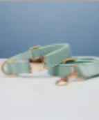 Cyan-Set